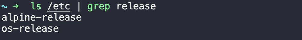 ls /etc in host