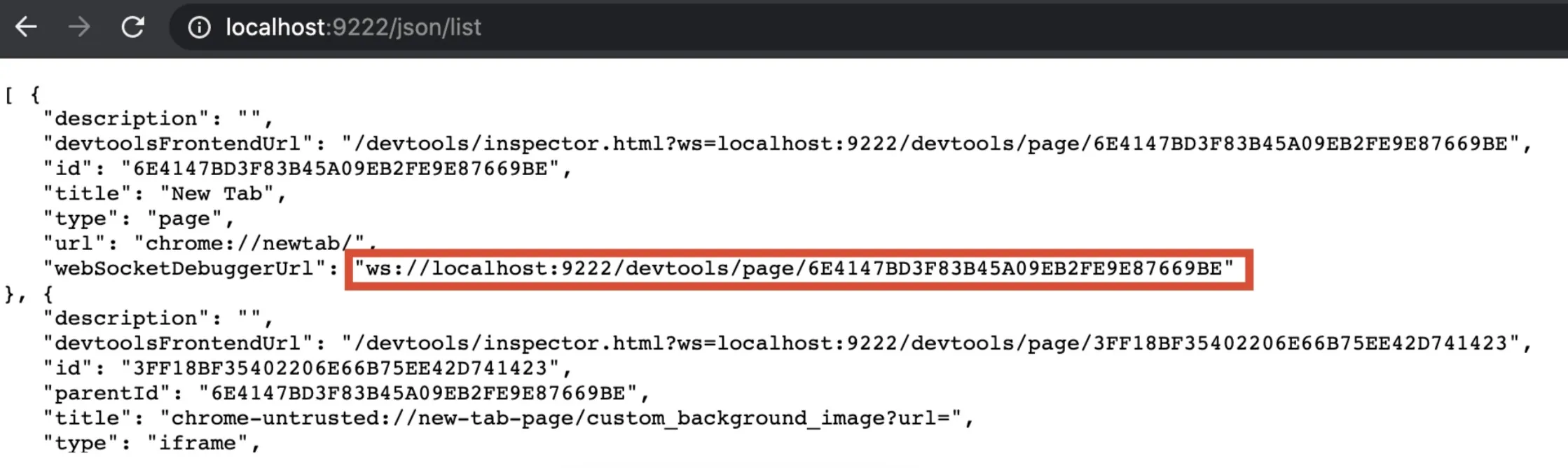 Get the WebSocket debugging link